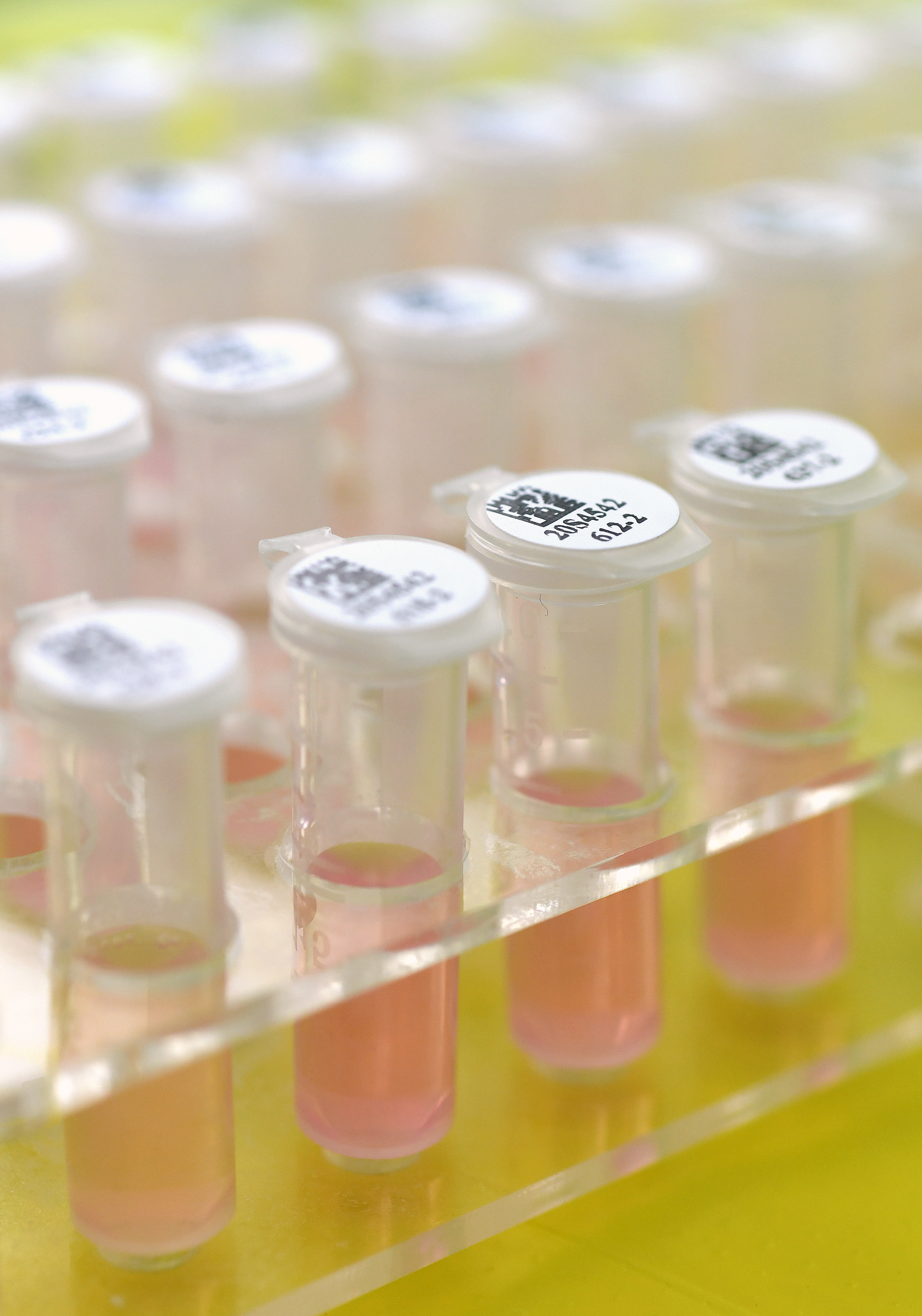 鄂7个新冠病毒核酸检测产品获欧盟ce准入 为全球疫情防控提供湖北支撑