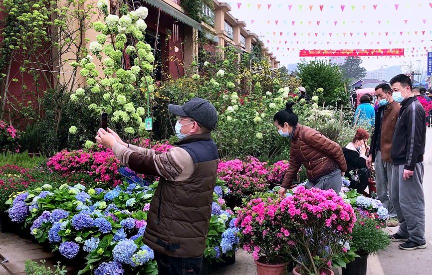 重庆最大花卉批发市场宏帆望海花都恢复营业花卉价格比春节前低2成