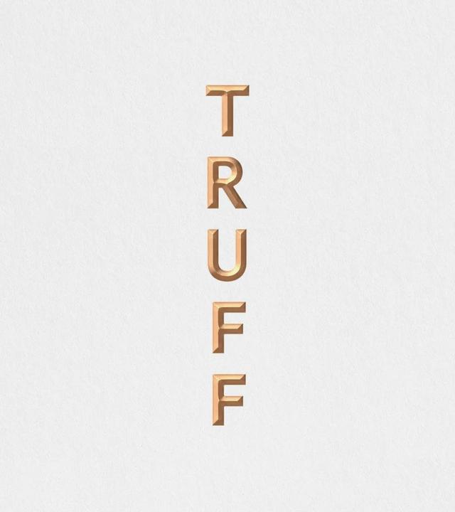 logo设计层面采用英文竖着排列方式上下组合方式,这样的组合方式比较