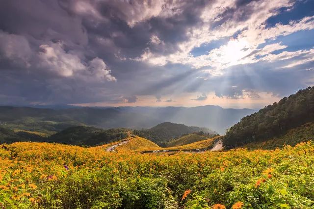 心境越开阔,你才越从容!