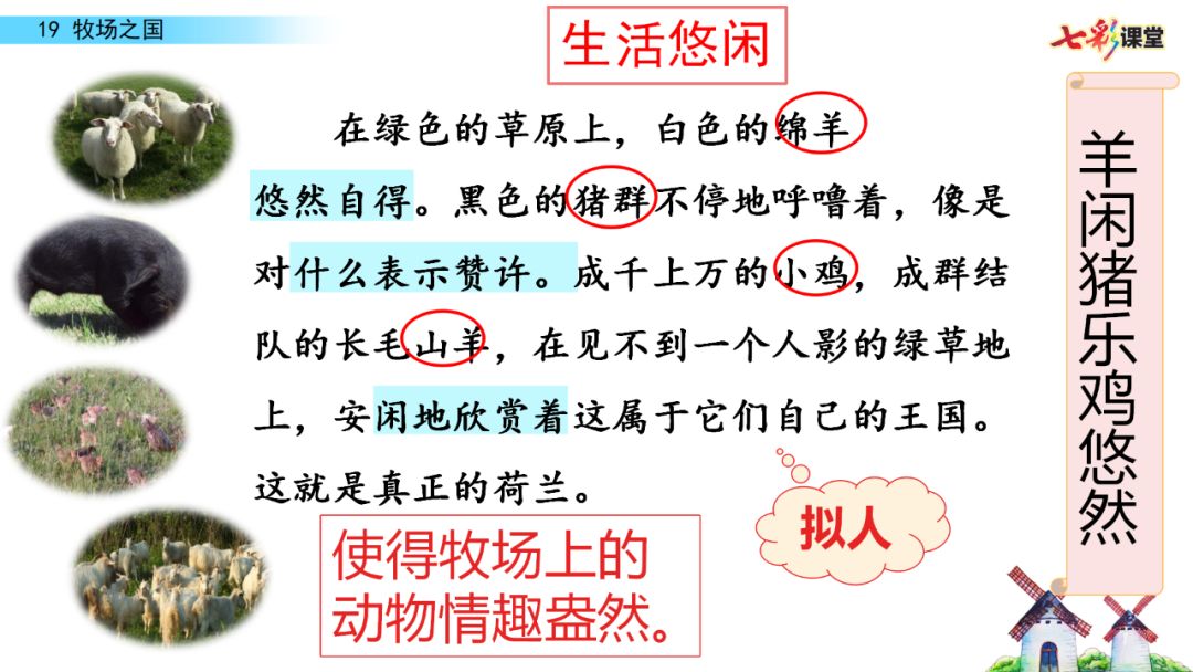 宅家語文課丨部編版五年級下冊第19課牧場之國圖文講解