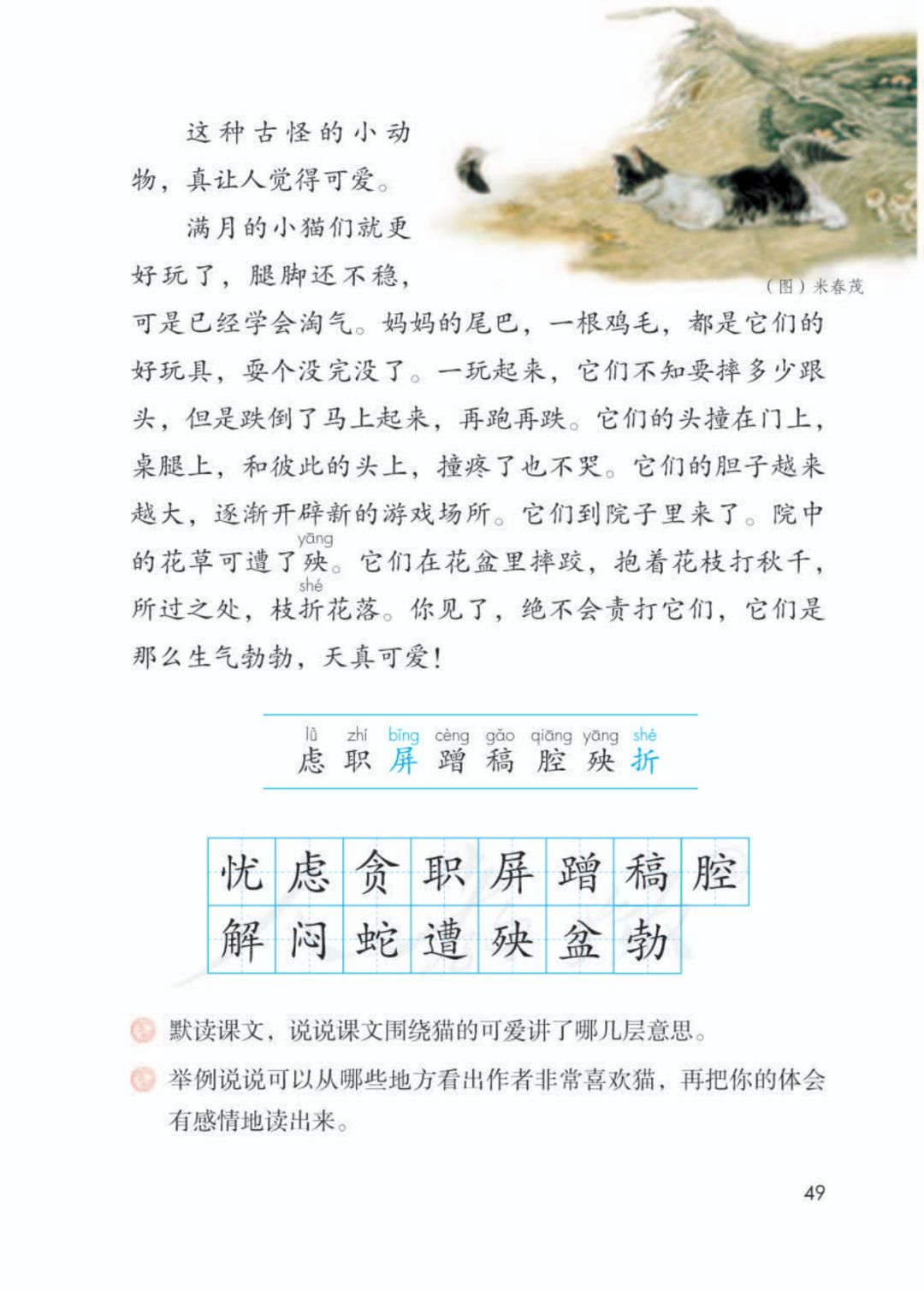 窦桂梅猫教学实录图片