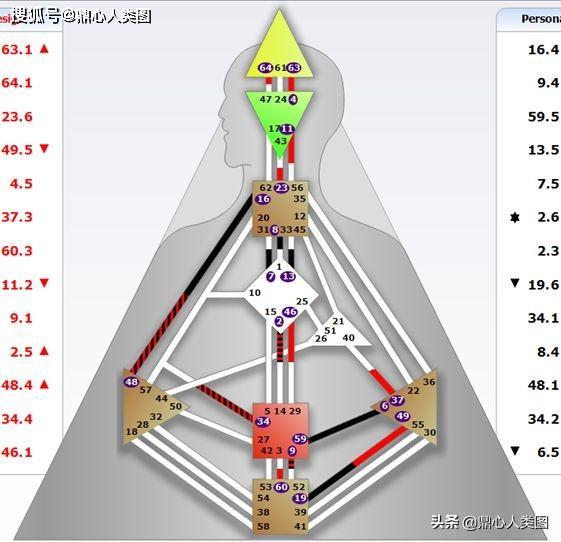 人类图:什么是非我主题?|"鼎心人类图"专业信息库