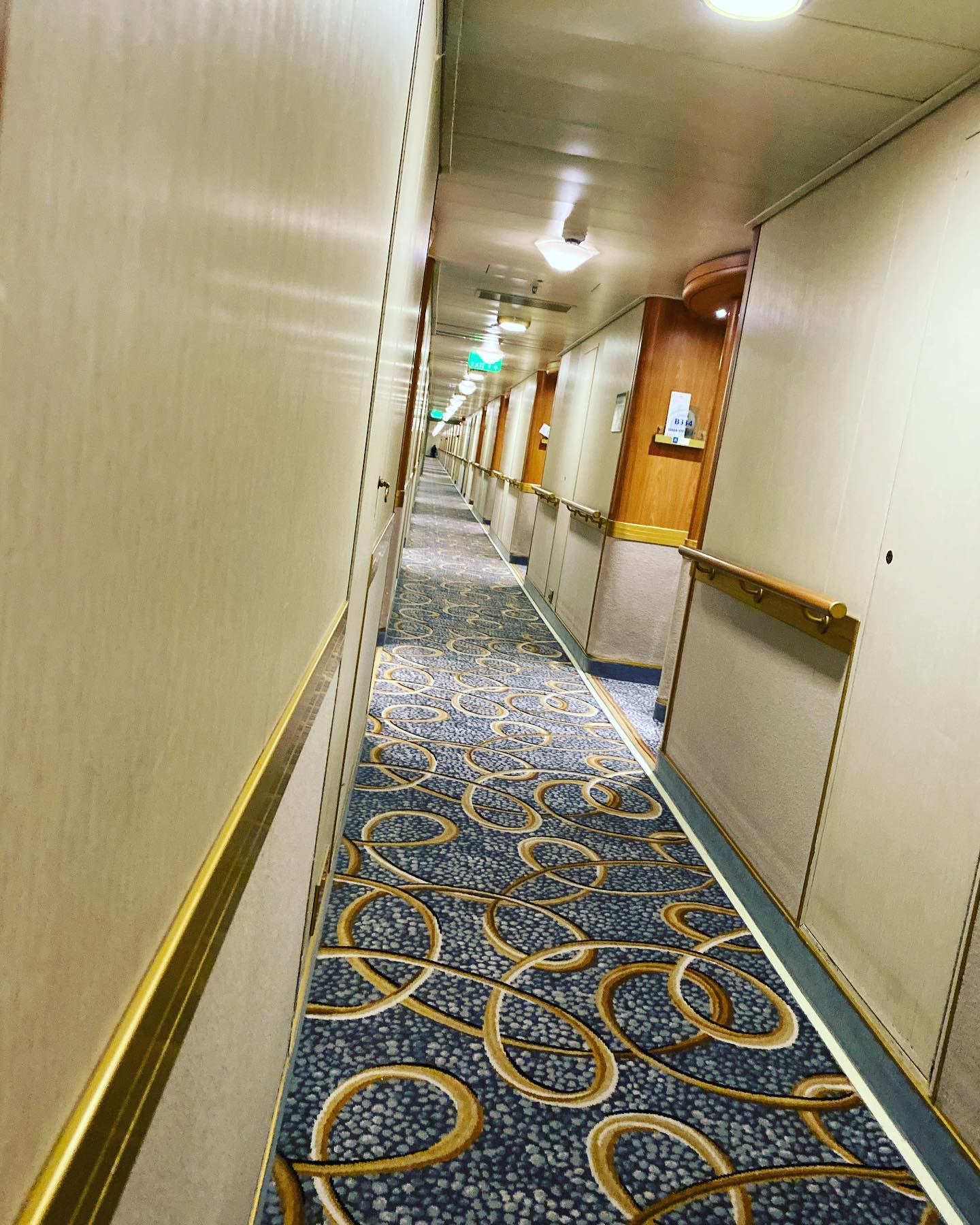 原创钻石公主号生死28天乘客曾担心邮轮强制沉海船长获国家奖励