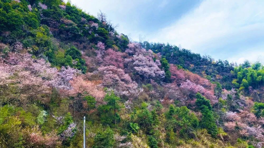 吴莱文旅项目登上了联合国科教文组织杂志