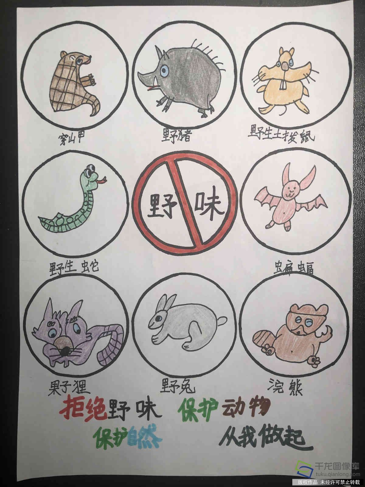 禁止吃野生动物简笔画图片