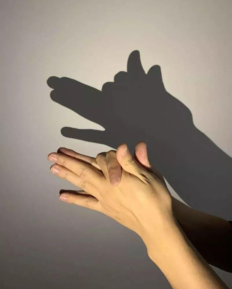 一只手影子手势图片图片