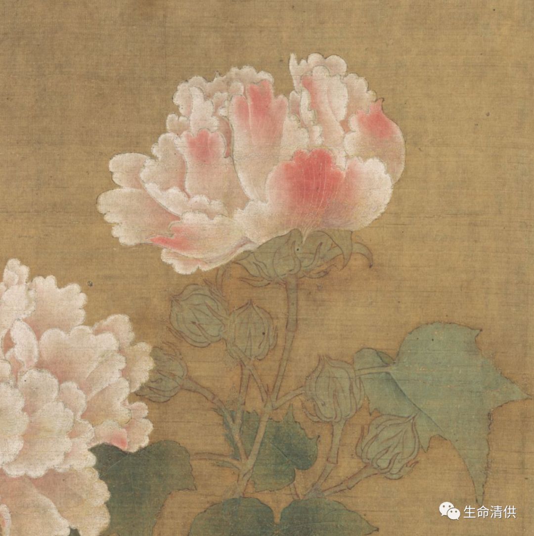 南宋 李迪|《红白芙蓉图》