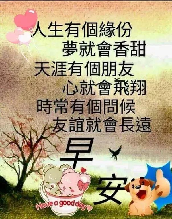 早上好表情早上好问候语大全