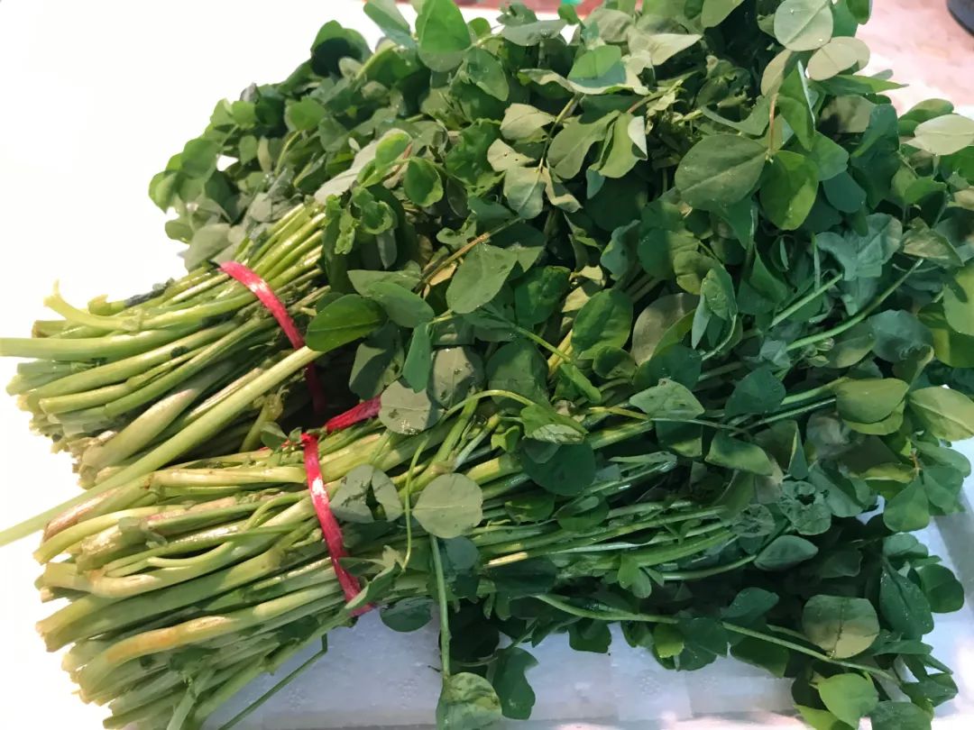 草籽马兰草毛笋香椿让我们一起共赴一场春天里的美食盛宴吧~注:以上