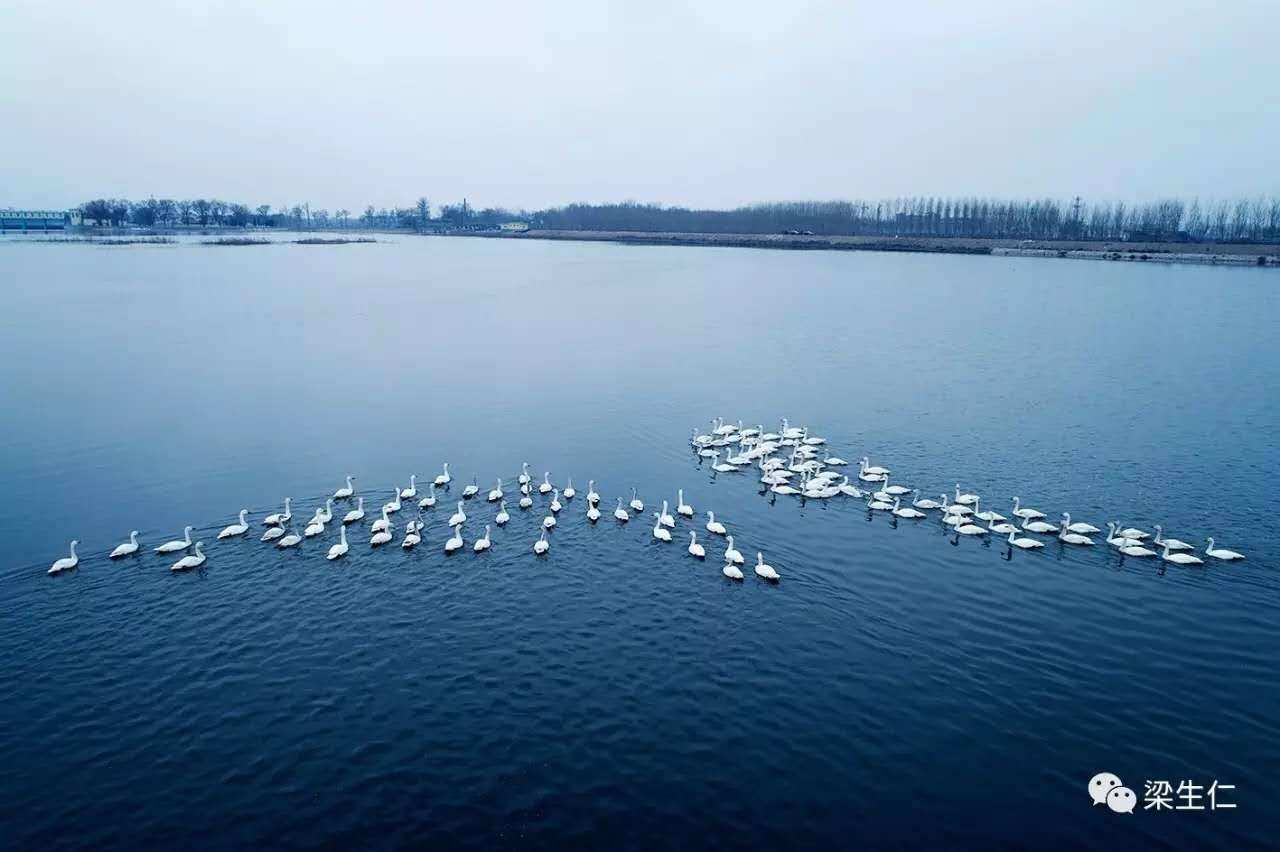 平遥天鹭湖温泉度假区图片