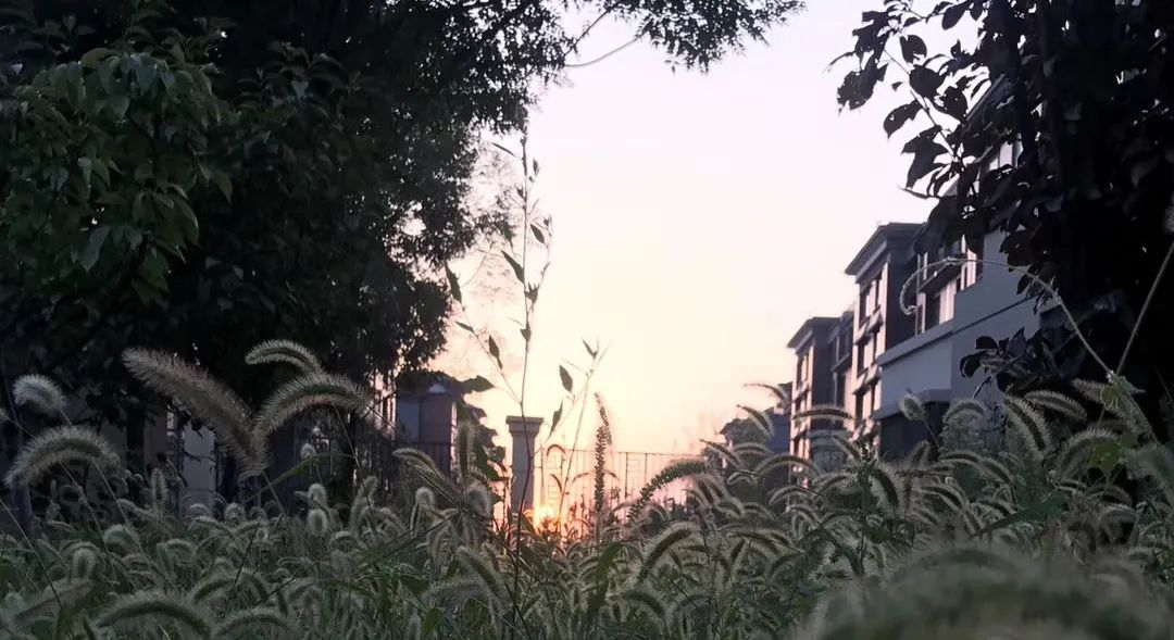 美好生活三箭瑞景苑用品质兑现