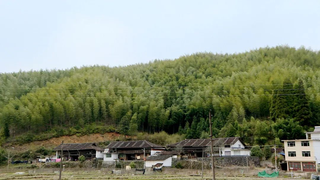 竹山自然村图片