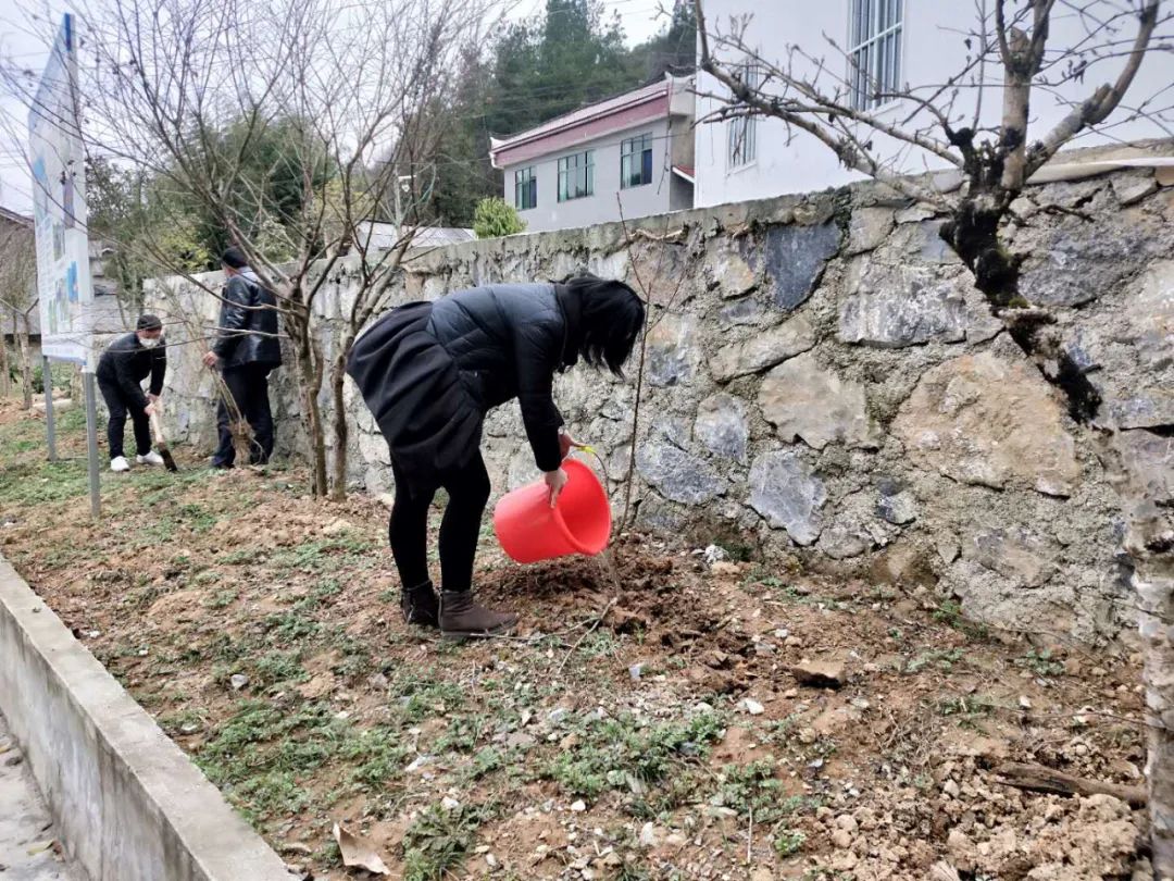 为多种树,种好树,护好林,新栽桃树已陆续入住"新居.