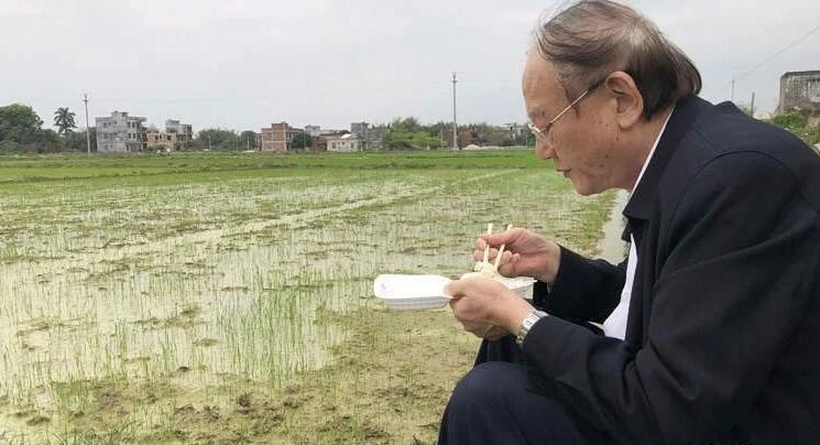 这幅院士坐在田头吃盒饭的照片火了