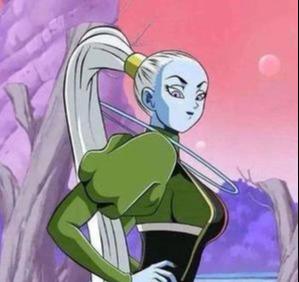 龙珠大神官的老婆登场看肤色就知道是维斯的母亲实力很强大