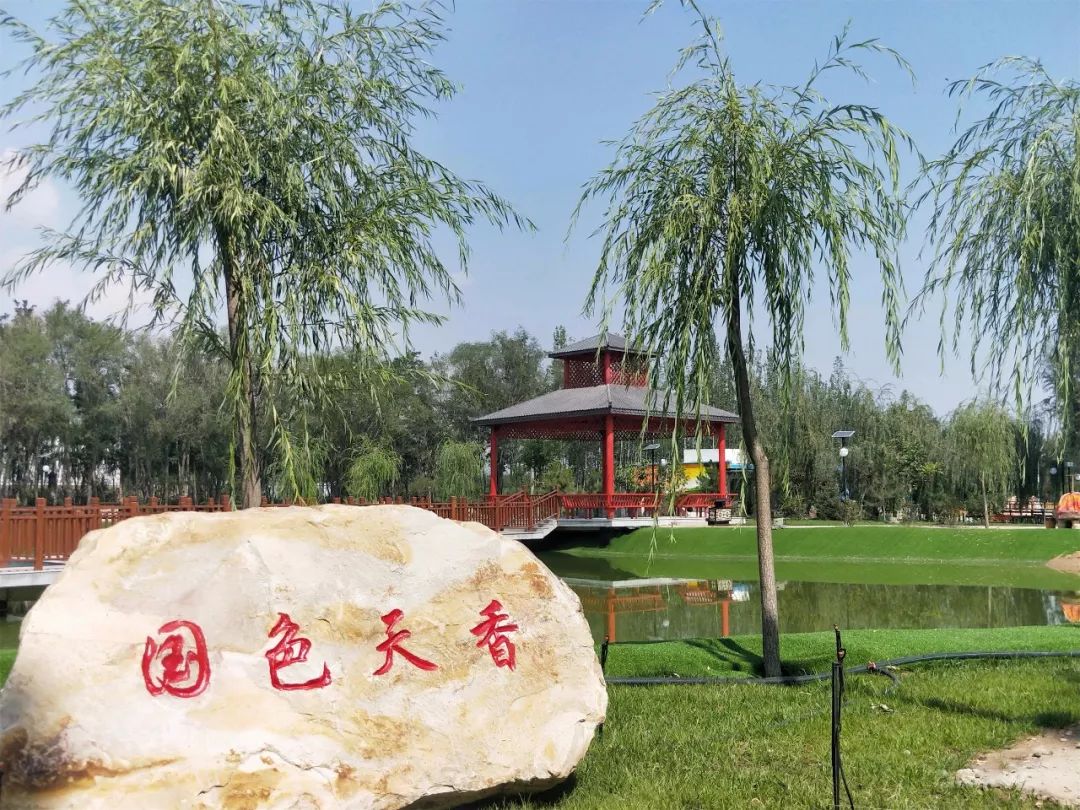 35折康养优居白金会员互动式康养优惠来袭