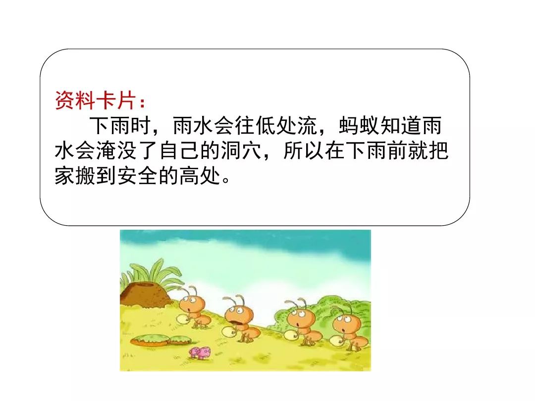 宅家语文课丨部编版一年级下册课文14要下雨了图文讲解