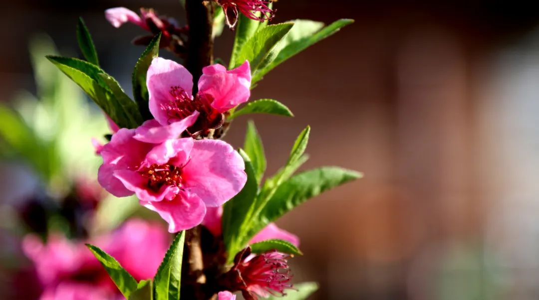 石棉这个冬天的积蓄现在给你看