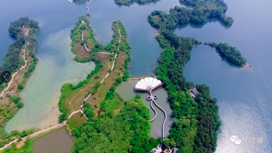 信阳南湾湖景区3月19日起恢复开放!