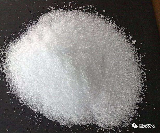 真磷酸二氢钾为明显的颗粒状晶体附视频介绍:如何鉴别真假磷酸二氢钾