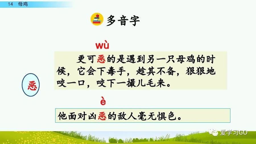 部編版語文四年級下冊第14課母雞課文朗讀知識要點圖文講解同步練習