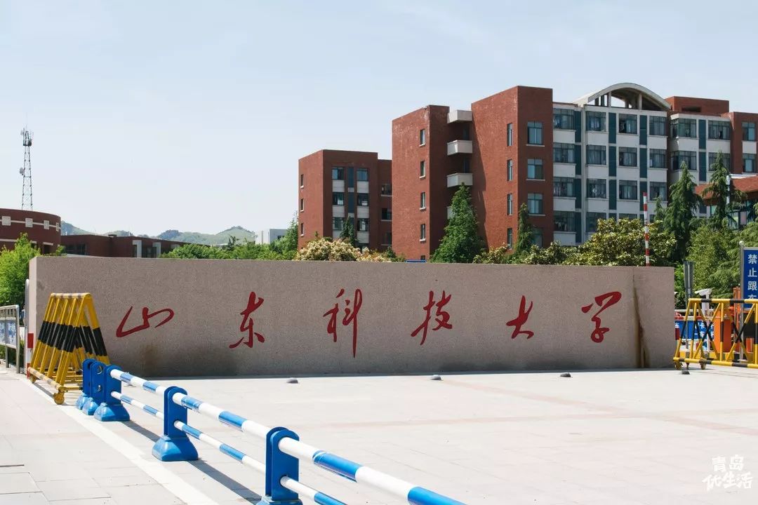 山东科技大学校门图片