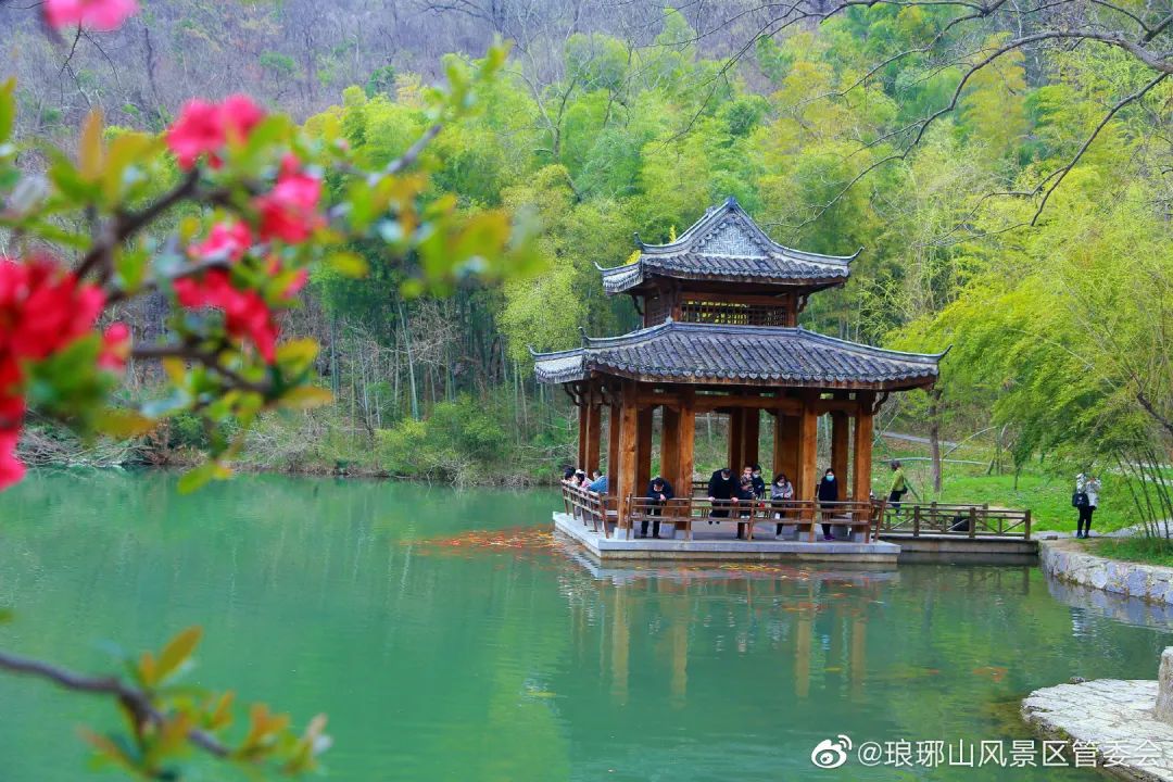 精神,今年1月24日,琅琊山管委会曾发布公告,即日起关闭琅琊山风景区