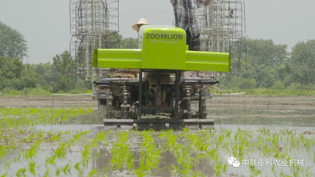 水稻种植新潮流中联重科高速有序抛秧机
