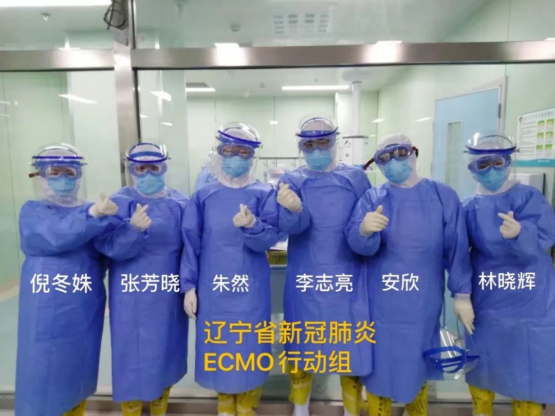 战疫情每时每刻都在坚守记辽宁省新冠肺炎ecmo应急小组