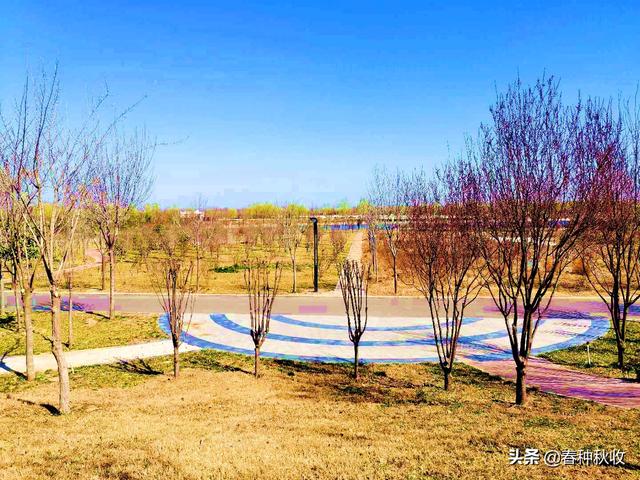 滑县人民政府重金打造的东湖滑园成为老百姓春游踏青的好去处