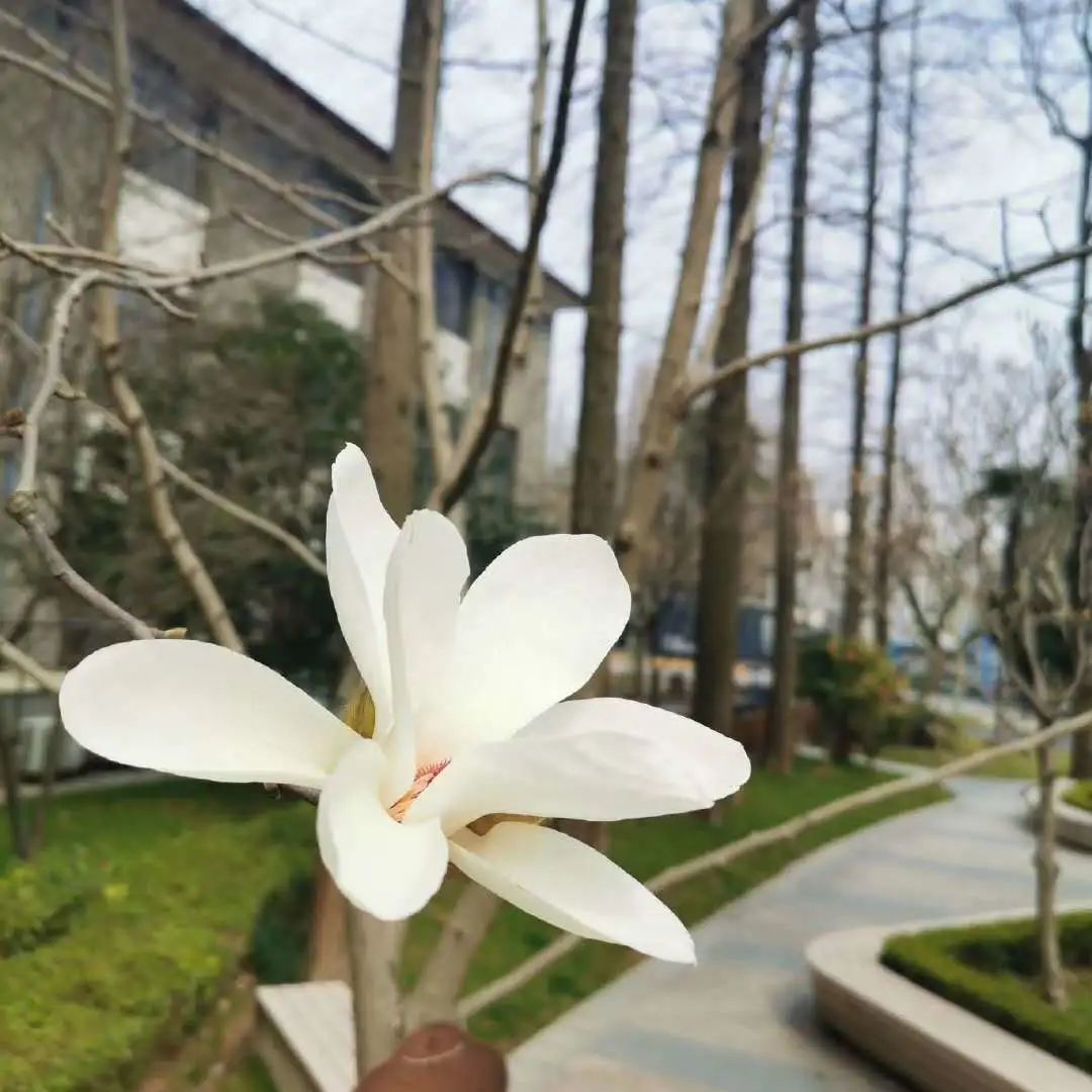 想见你复旦暂别复旦两个月你最想念她哪一件小事