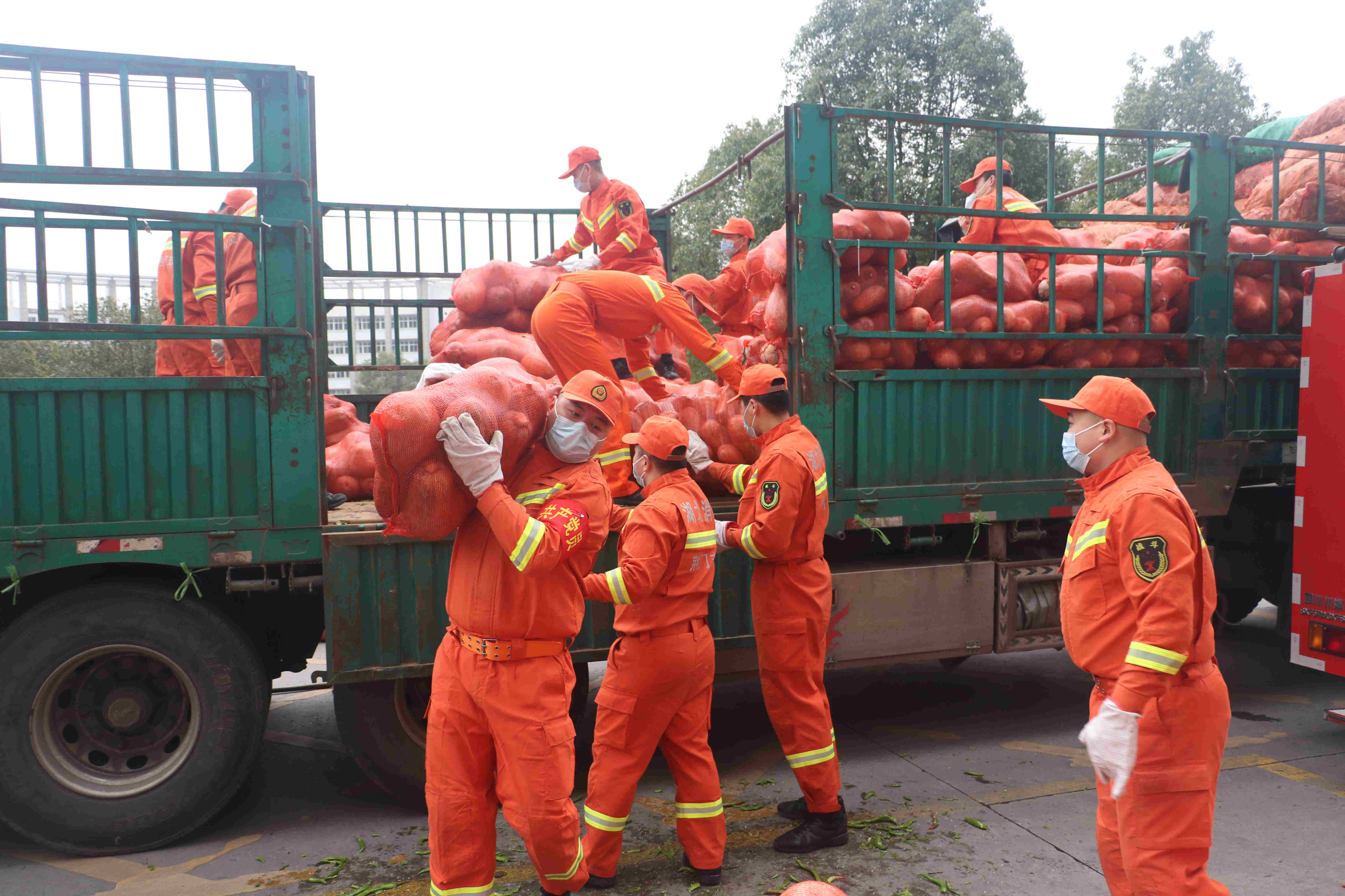 一个半小时紧急转运20吨蔬菜 ——消防员化身爱心物资的"接力员"_搬运