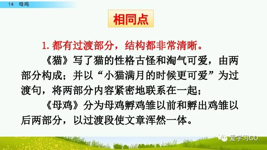 部編版語文四年級下冊第14課母雞課文朗讀知識要點圖文講解同步練習