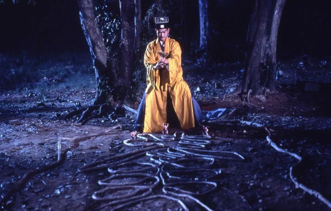 这具西洋僵尸复活之后,还救出了教堂里的女伯爵僵尸.