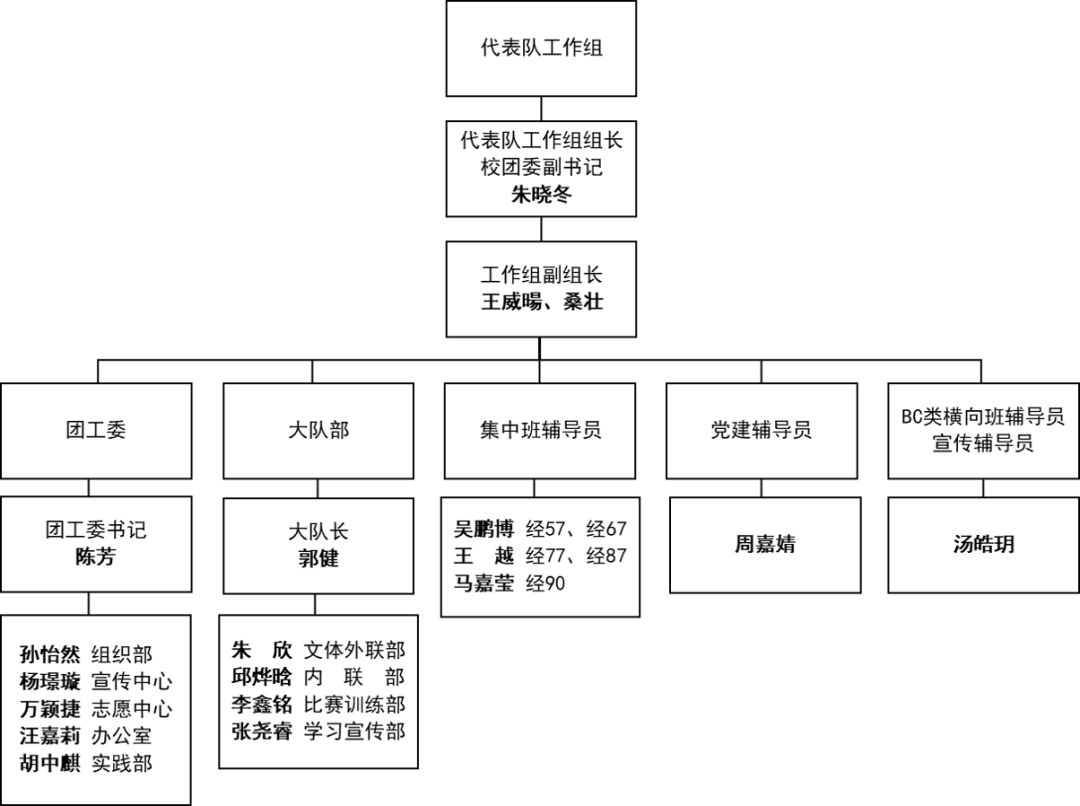清华大学体育代表队组织结构框架