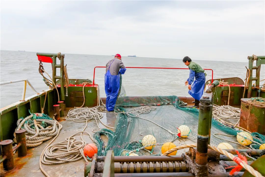 先立个flag疫情过后咱们一定要在洞头做这30件事