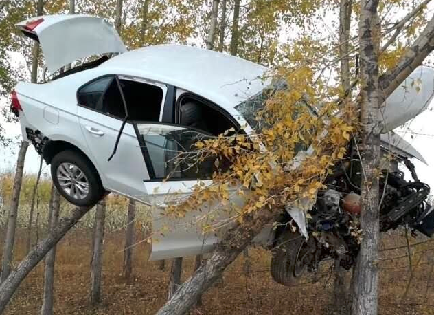 把车开到树上去了!一般人真做不到