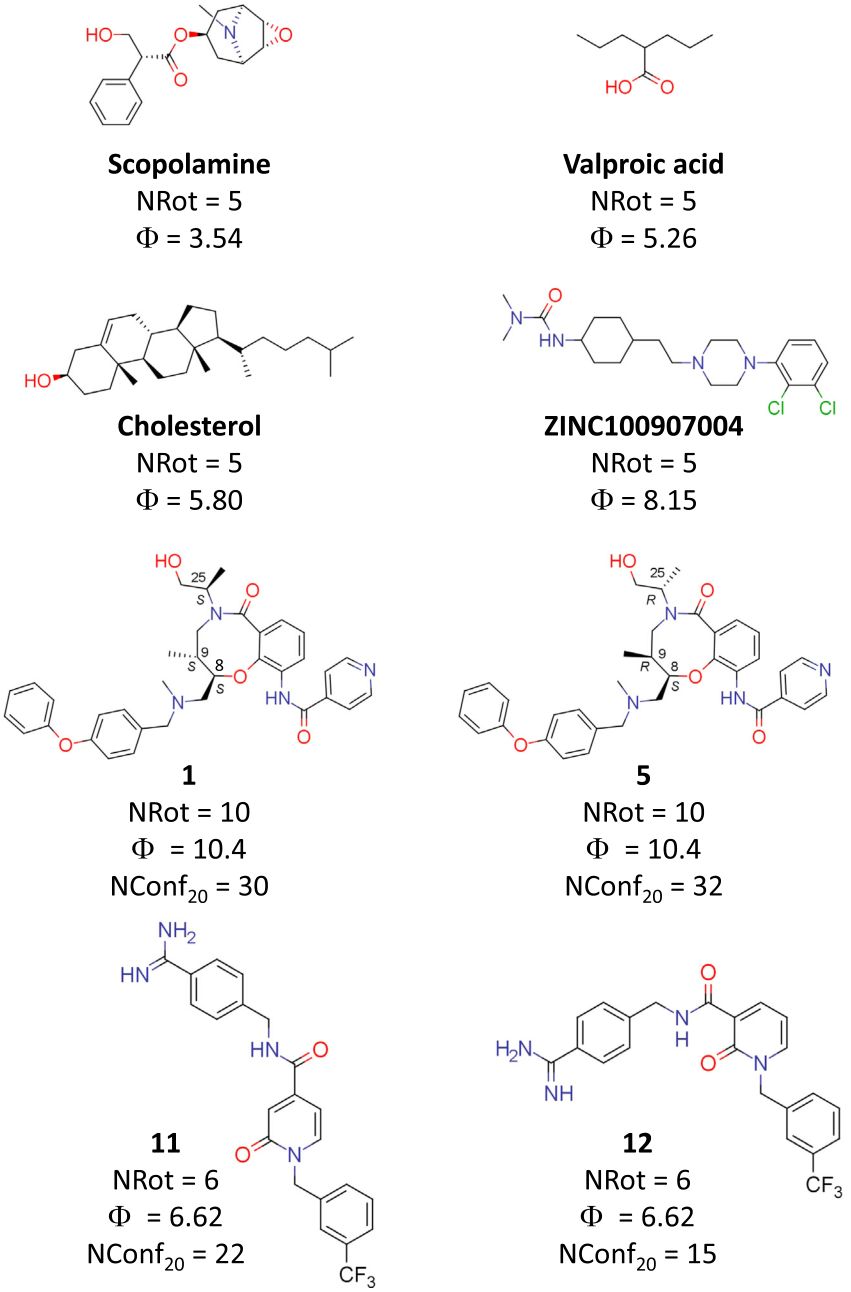 ddt药物设计中分子柔性的描述