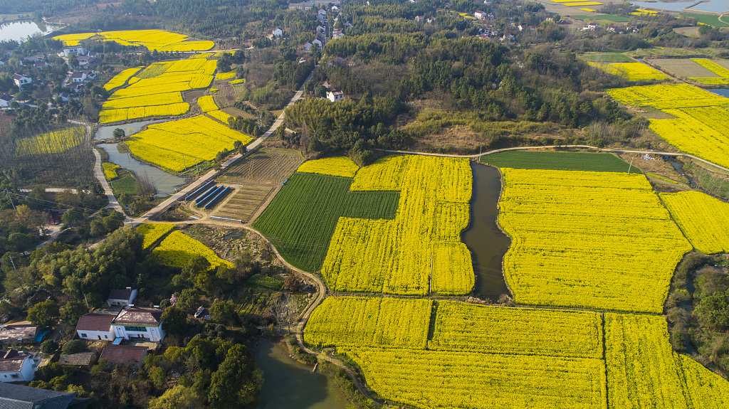 安徽宣城航拍乡镇油菜花海02美好乡村春意浓