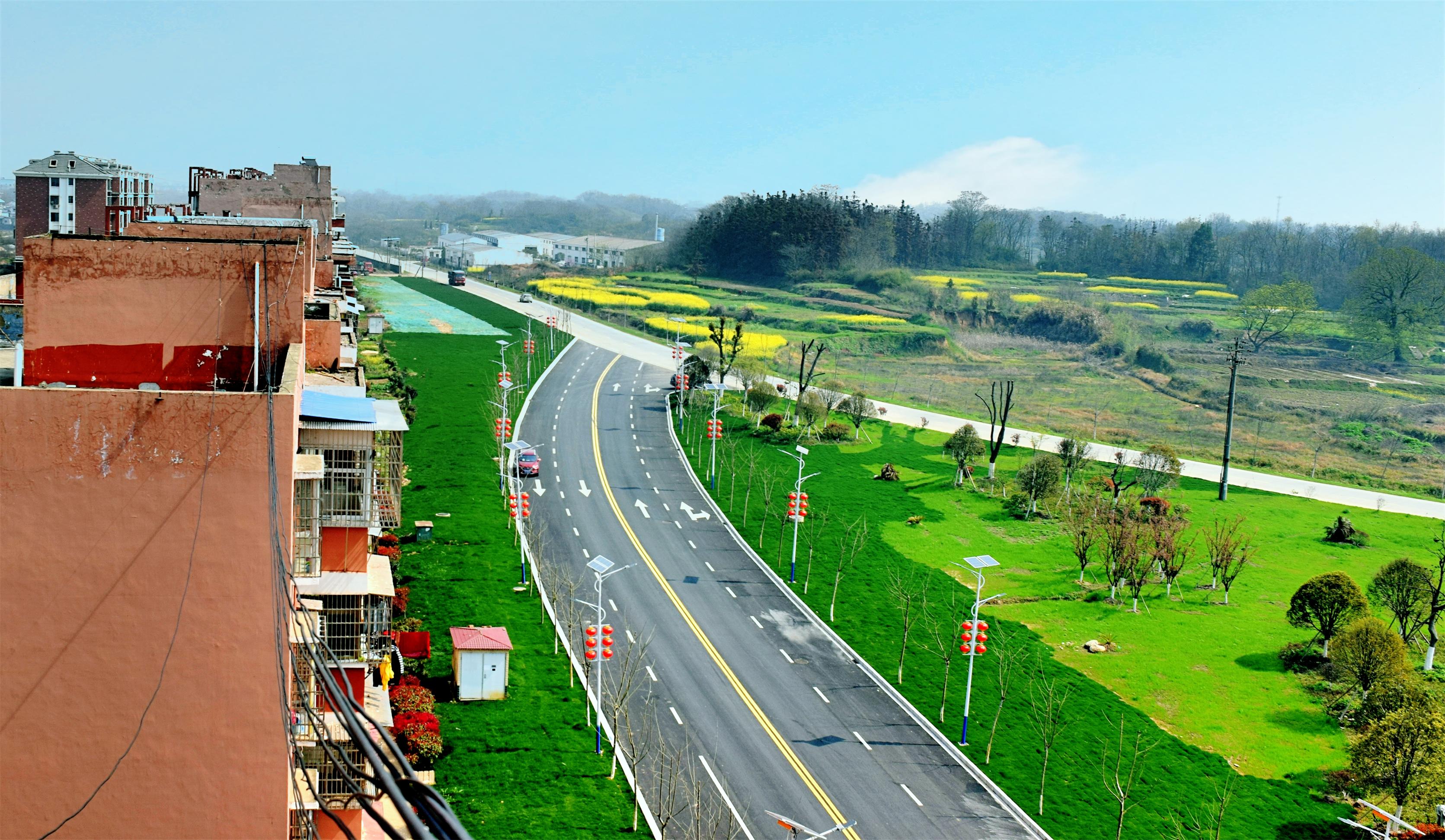 湖口县流泗镇瑞龙公园春色!