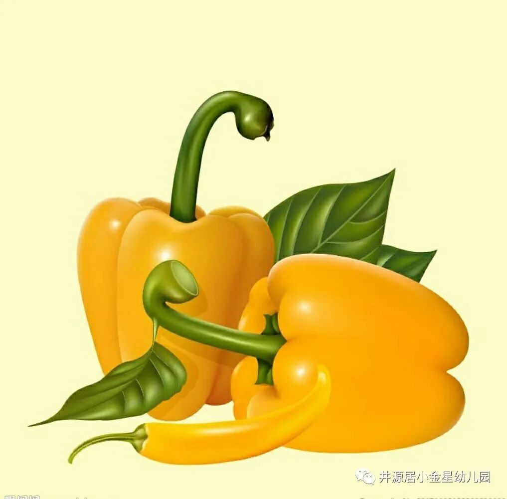 英语快乐营大班英文绘本growvegetablesgrow②福州晋安区井源居小金星