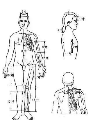 骨度折量法现代临床常用的定位法有:骨度折量法,体表标志法和手指比量