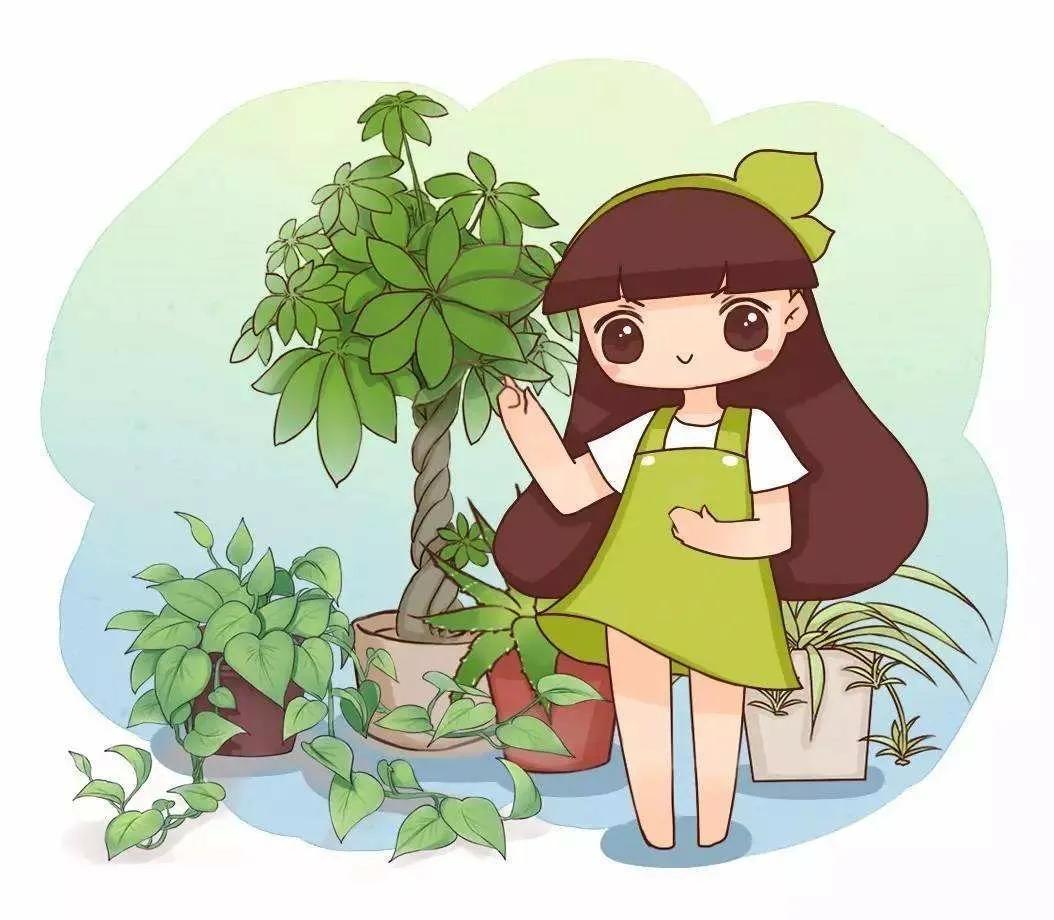 "辣手摧花"之养花笔记