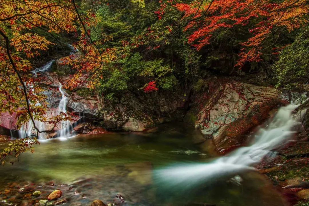 终南秋韵且登秦岭摄秦川洋县朱鹮红腹锦鸡光雾山十八月潭黎坪7日摄影