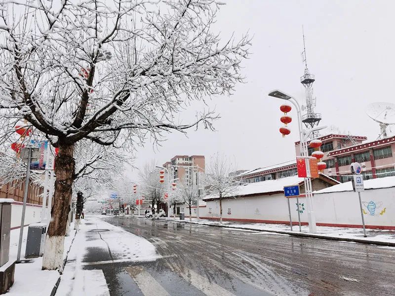 下雪啦!三月春雪装点阿坝州,看看你的家乡下雪了吗?