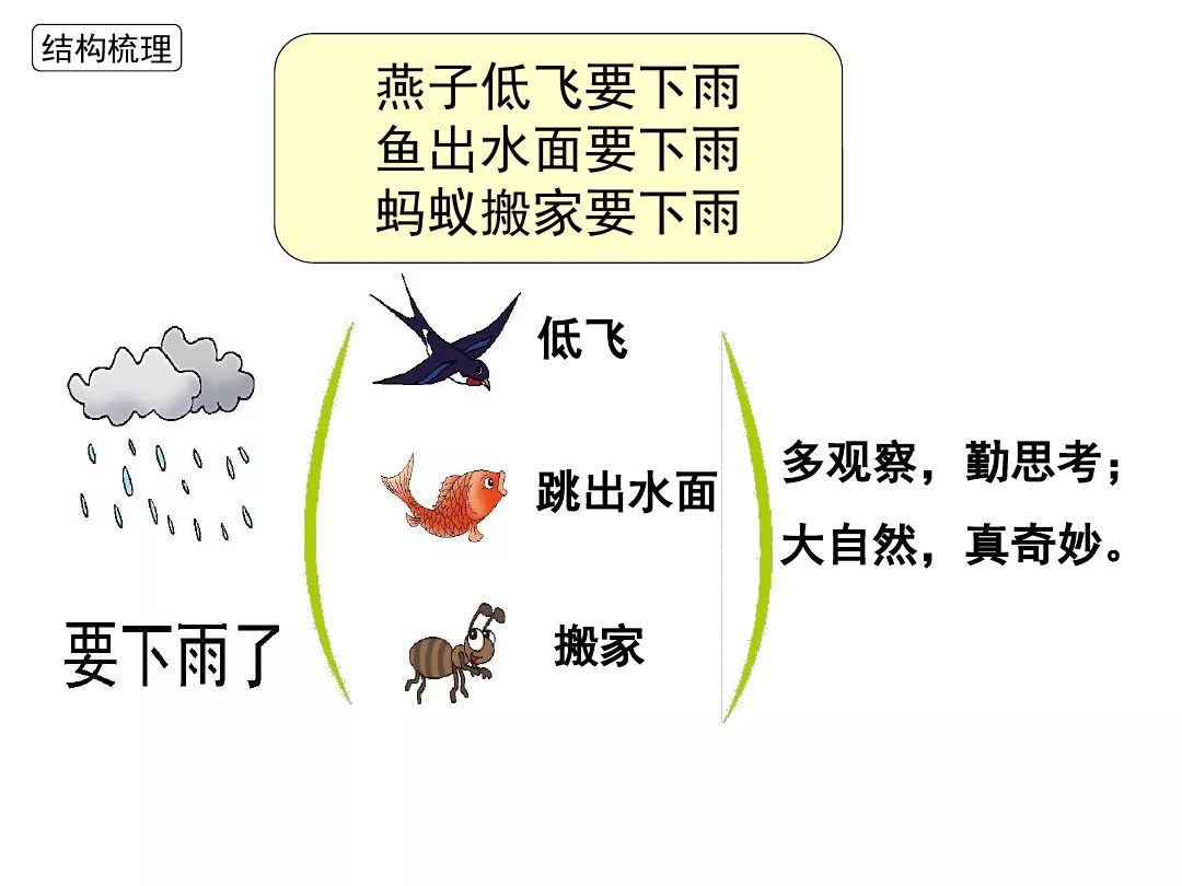 宅家语文课丨部编版一年级下册课文14要下雨了图文讲解