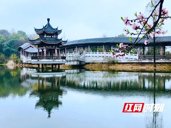 不負春光湖南127家a級旅遊景區恢復開放衡陽有這些