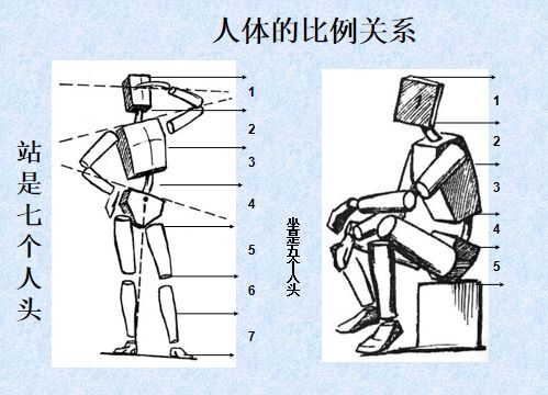 不同姿势身高比例不同年龄阶段比例五,速写步骤"吹面不寒杨柳风",不错