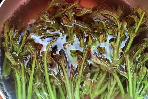 一椿入口,三春不忘,椿芽春吃,叶香可啖.